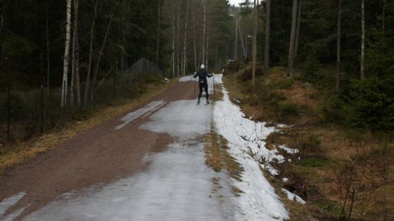 Bilde av mann som st&aring;r p&aring; ski p&aring; flekkete isf&oslash;re