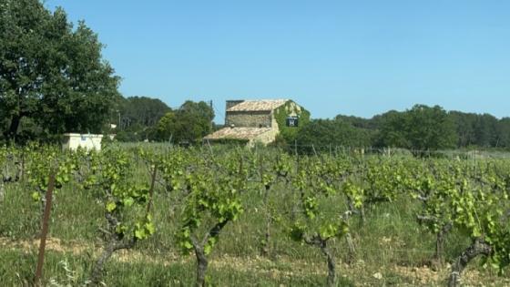 Vinranker i Frankrike