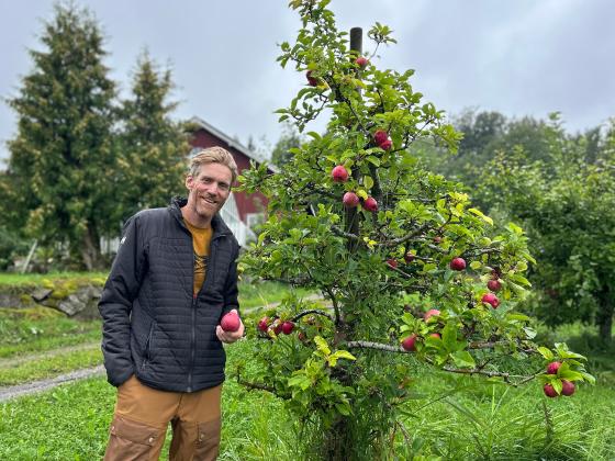 Bonden poserer ved siden av eget epletre med et eple i h&aring;nden