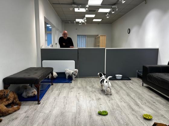 Her er Johnny med hundene i hundebarnehagen.