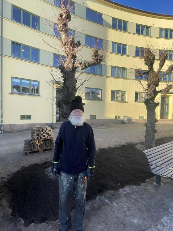 Jan Hugo Eriksen (66) foran noen av de nye tr&aelig;rne p&aring; Martinus L&oslash;rdahls plass