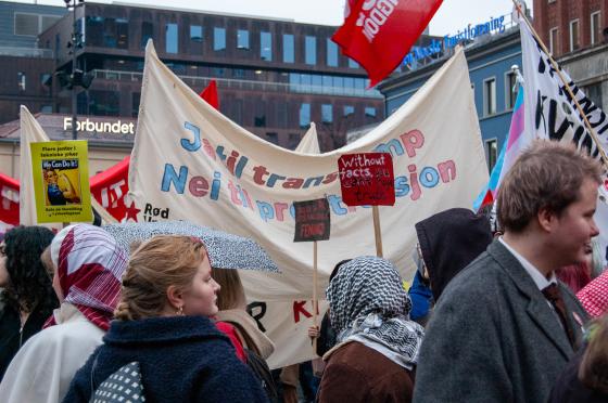 Plakater og faner på Youngstorget 8. mars