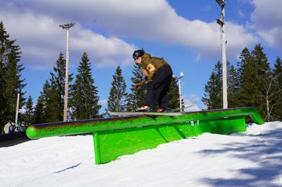 Anne Ruud ski