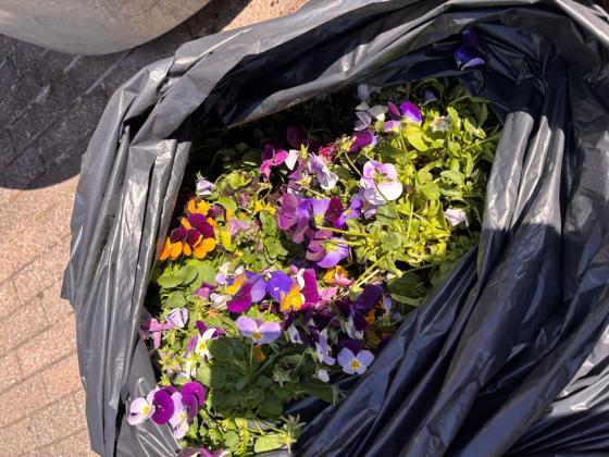 Blomster i s&oslash;ppelpose
