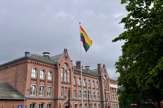Prideflagg i en skolegård.