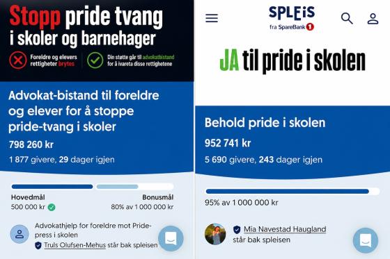 bildet av spleis