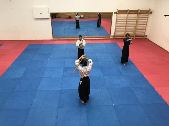 Ut&oslash;vere driver Kakudokan