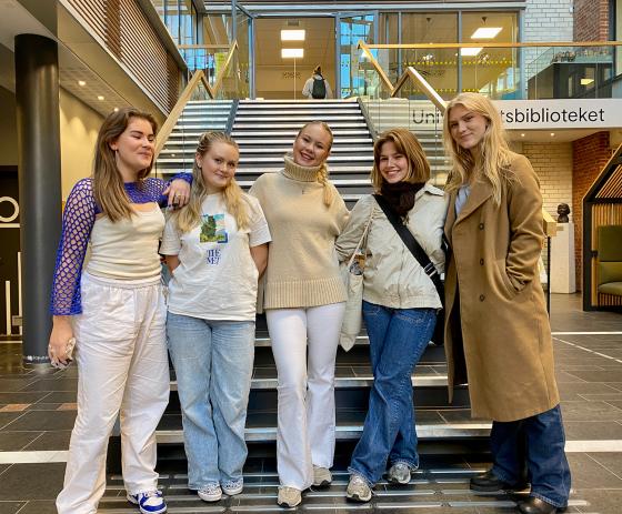 5 jenter st&aring;r foran ei trapp. De smiler.