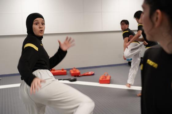 Taekwondout&oslash;ver som sparker.