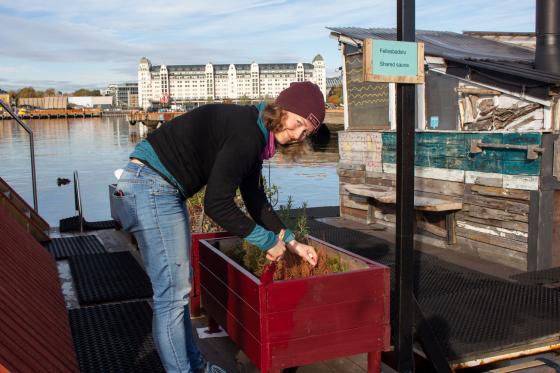 Dame maler en r&oslash;d blomsterkasse