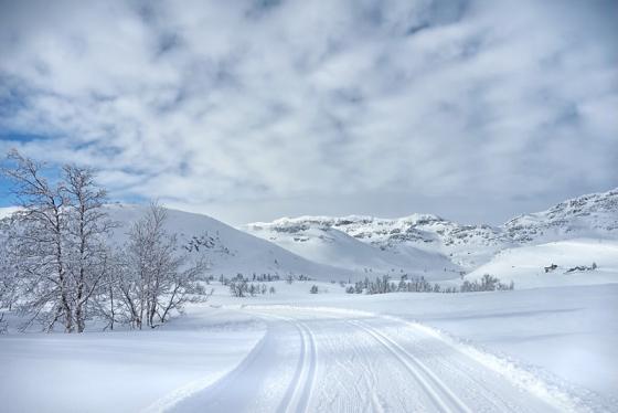 sn&oslash;fylte skil&oslash;yper