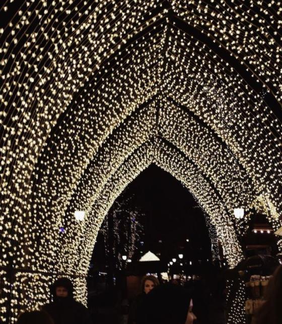 Hvis helsedirektoratet er s&aring; uheldige &aring; bli smittet, kan evnen deres til &aring; h&aring;ndtere krisen bli svekket, sier direktoren Helen Brandstorp.