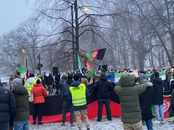 Demonstranter er fotografert bakfra og holder flagg og plakater p&aring; en demonstrasjon