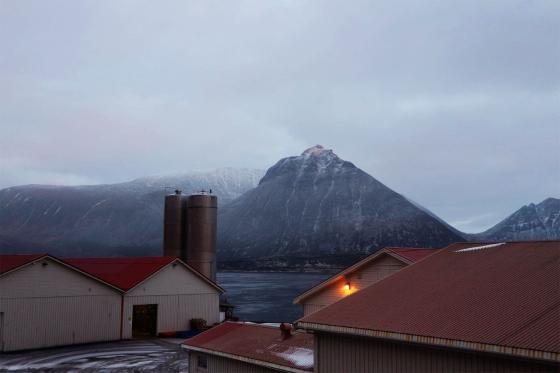 Gims&oslash;y fiskemottak som ligger ved Gims&oslash;ystraumen i Lofoten. 