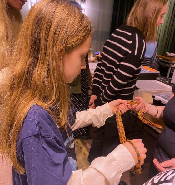 Lumen holder en r&oslash;d kornsnok. Den har svarte flekker p&aring; seg, som har en m&oslash;rkere r&oslash;d inni.