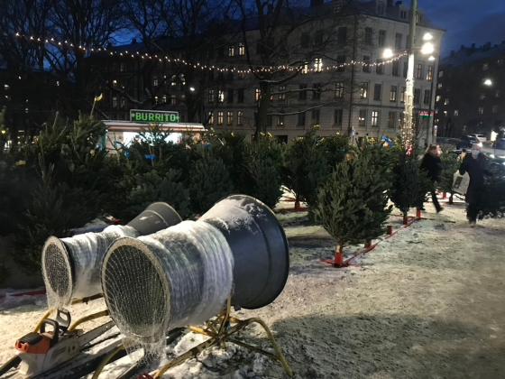 Bilde av juletr&aelig;r