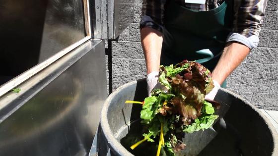 Mengder med mat som er spiselig, blir kastet bort i s&oslash;pla. 