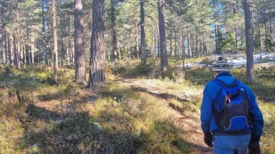 Gammel mann med ryggen til p&aring; tur i skogen.