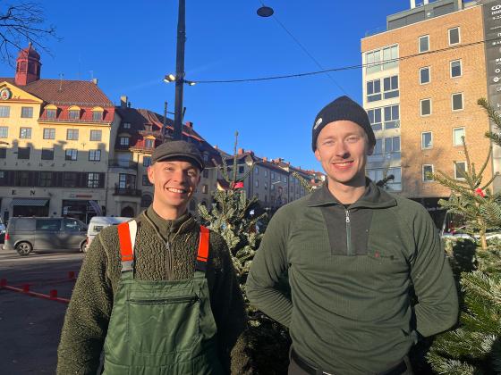 To unge karer i gr&oslash;nne kl&aelig;r, st&aring;r foran juletr&aelig;r