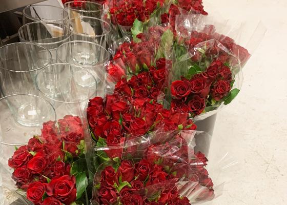 R&oslash;de roser i vaser