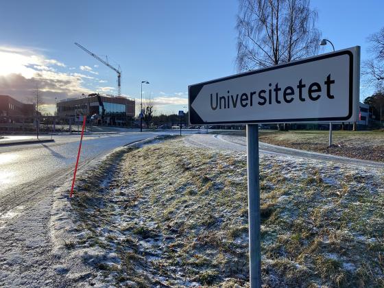 Studenter fra Agder vil ikke f&aring; gratis busskort. Foto: Mari Roland.&nbsp;
