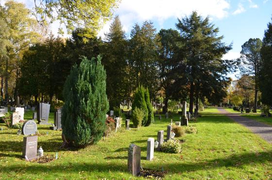 en gravplass om h&oslash;sten blant tr&aelig;r.