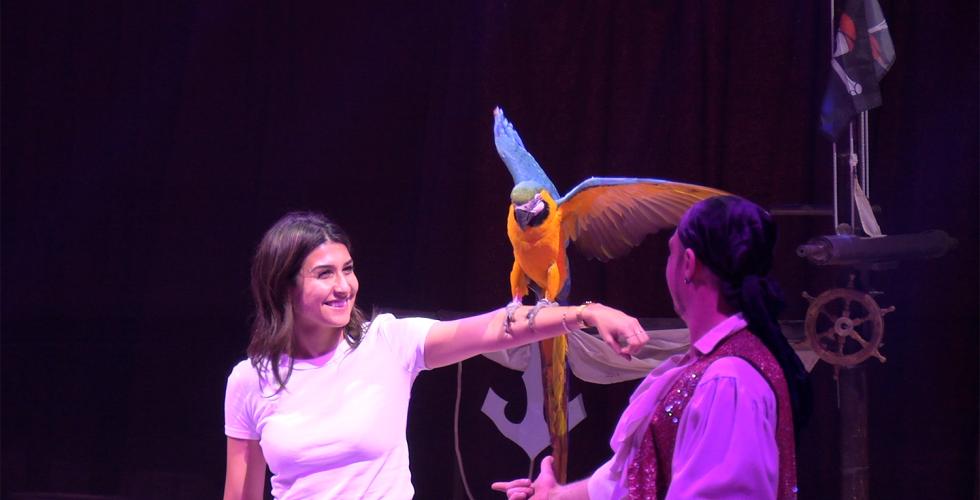 Dame holder papeg&oslash;ye p&aring; armen