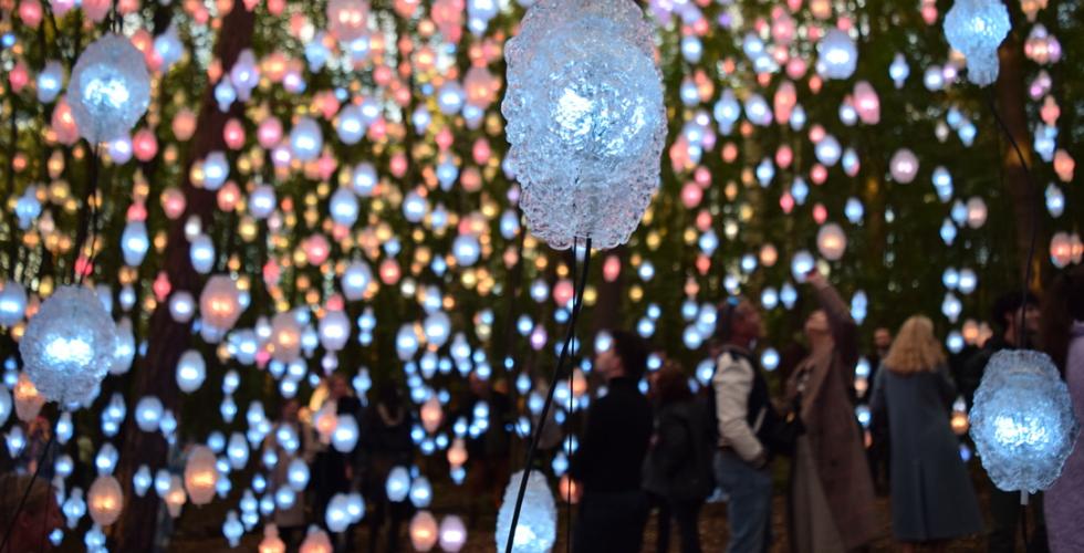 Kunstutstillingen Nordic Pixel Forest i Ekebergparken