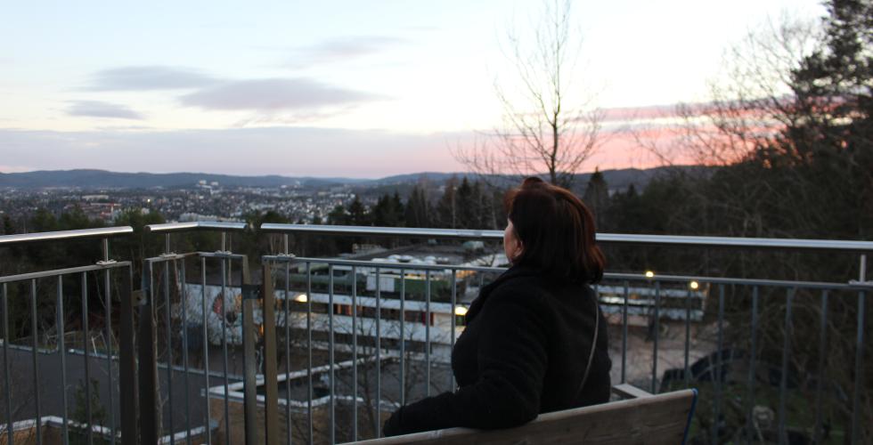 Aylin ser ut over Roms&aring;s