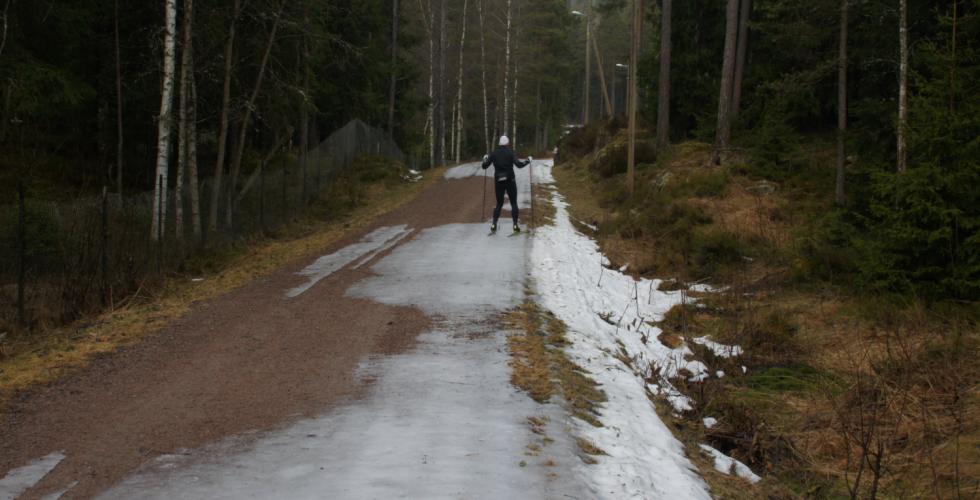 Bilde av mann som st&aring;r p&aring; ski p&aring; flekkete isf&oslash;re