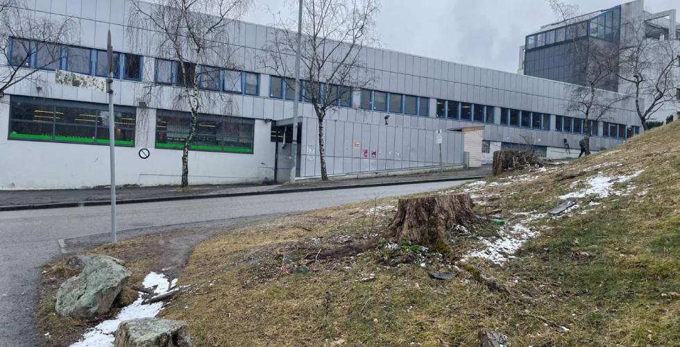 Et tynt lag med sn&oslash; har lagt seg utenfor en Kiwi-butikk p&aring; Holmlia.