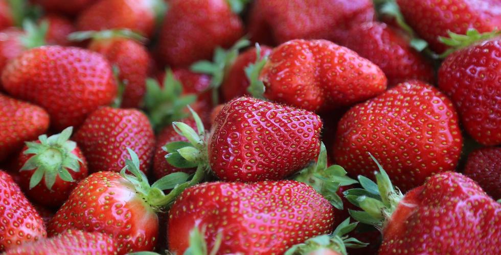 R&oslash;de jordb&aelig;r 