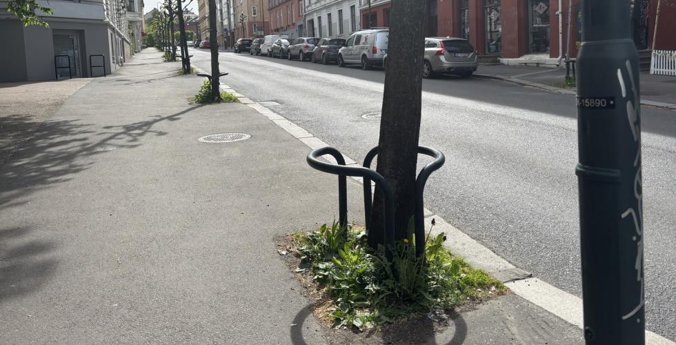 Del av Schweigaards gate. 