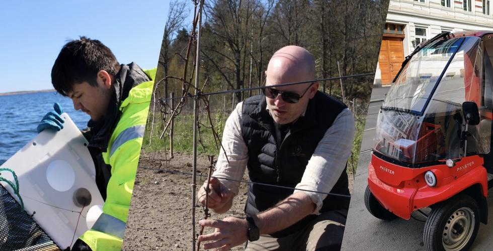 Emiliano p&aring; b&aring;t, Borander klipper drueplanten, en paxterbil fra Posten