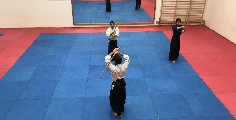 Ut&oslash;vere driver Kakudokan