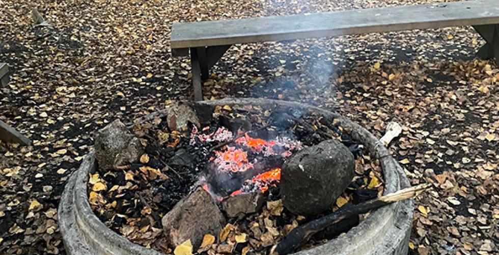 Bilde av b&aring;l i skogen