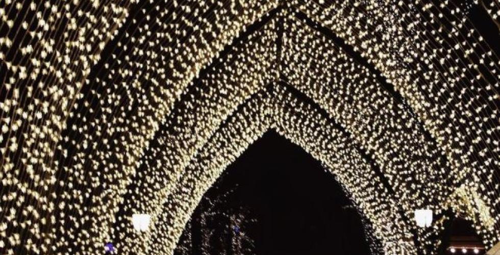 Hvis helsedirektoratet er s&aring; uheldige &aring; bli smittet, kan evnen deres til &aring; h&aring;ndtere krisen bli svekket, sier direktoren Helen Brandstorp.