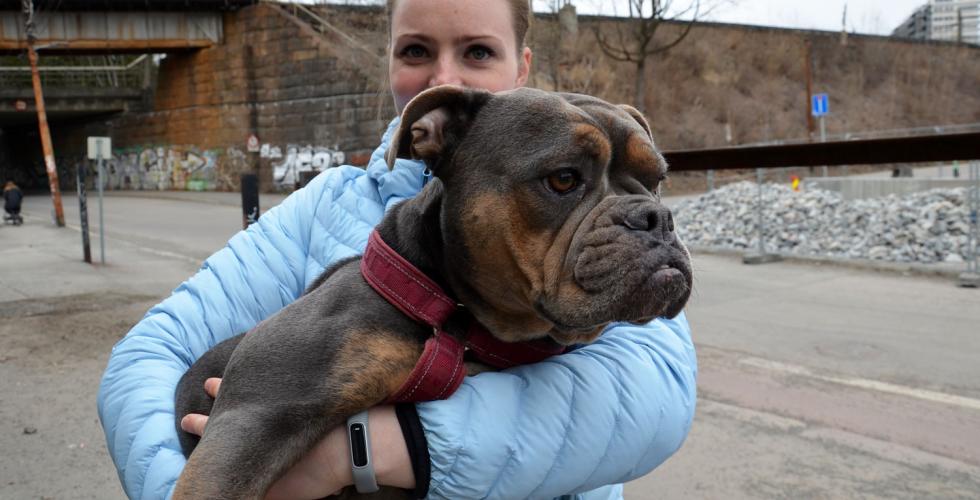 Dame b&aelig;rer hunden sin