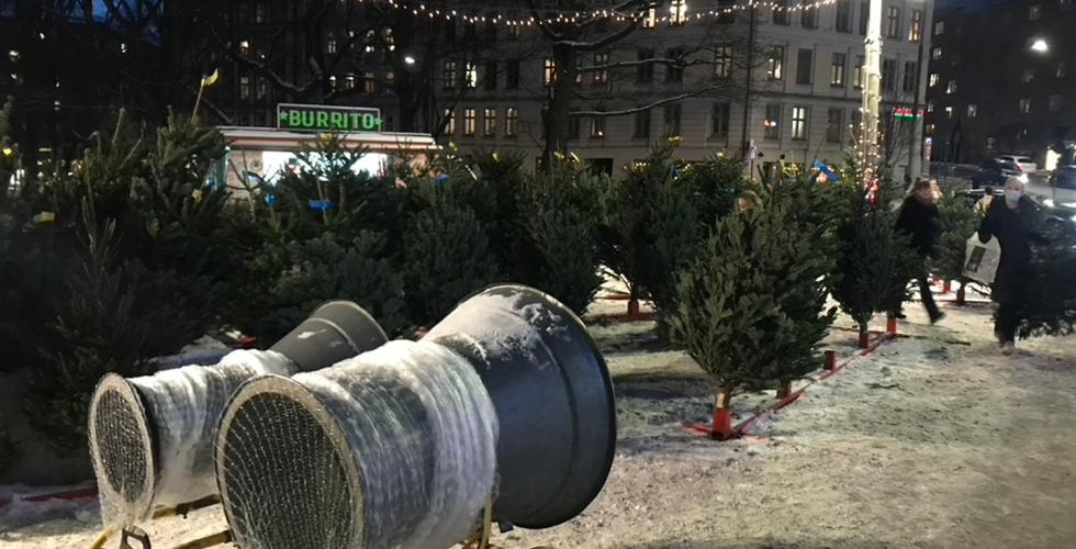 Bilde av juletr&aelig;r