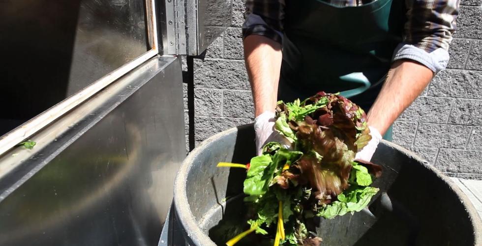 Mengder med mat som er spiselig, blir kastet bort i s&oslash;pla. 