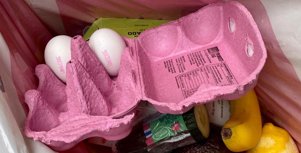 S&oslash;ppelpose med mat